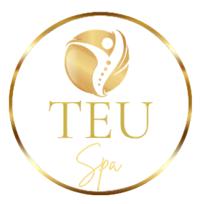 logo_teu_spa